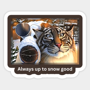 Always Up to Snow Good (tiger cross-eyed in trouble again) Sticker